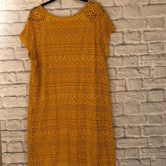 Tacera Shift Dress with Lace Overlay. - Picture 2 of 8